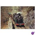 NG Railway Postcard FESTINIOG Loco Prince CREUG...