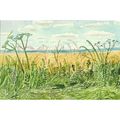 01530 00017: 'Roadside Plants and Landscape. Ea...