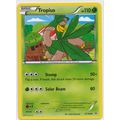 Pokemon Roaring Skies #12/108 Tropius