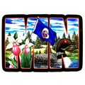 Minnesota Land of Lakes State Artwood Initial F...
