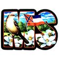Mississippi The Magnolia State Artwood Initial ...