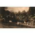 Ashurst Wood, Sussex, 27681 Friths Postcard