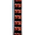 Pk GEB - P - MIX - a 018R . 1 STRIP OF 5 - 35MM...