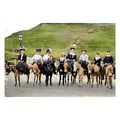 ptc3655 - Yorks - Families enjoy Donkey Rides, ...