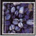 Great Britain 2007 Sea Life 1st Common Mussels ...