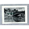 (8088) Pulborough Sussex - 1953 Cutting