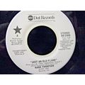 Hank Thompson-Just An Old Flame / Don't Get Aro...