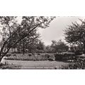 B609 WEST HAM -HERMIT ROAD RECREATION GROUND. R...