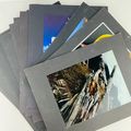 Chicago Area Camera Club Prints Photography Art...
