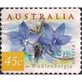 AUSTRALIA, FLOWERS, Australian Bluebell, yellow...