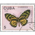 CUBA, BUTTERFLY, Papilio zagreus, pink 1989, 5c