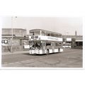 Black & White Photograph of Manchester Corporat...