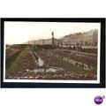Sussex BRIGHTON Lily Pond Postcard by J.& S.