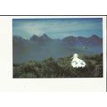 Birds WANDERING ALBATROSS Postcard by South Geo...