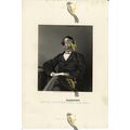 David Livingstone, Explorer, Book Illustration ...