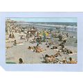 New Jersey Ocean City Beach Scene~563