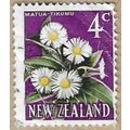 1967 - Mountain Daisy - 16355