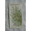 1913 Wills Old English Garden Flowers 2nd serie...