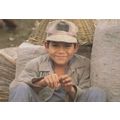 Nicuragua American Child Coffee Picker Farming ...
