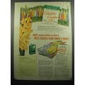 1949 Dreft Detergent Ad - Dreft washes dishes s...