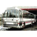 Colour Photograph of Annandale Coaches of Cross...