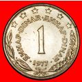 Ⰶ COMMUNIST STAR (1973-1981): YUGOSLAVIA★1 DINA...