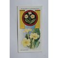 1933 Player's Boy Scout & Girl Guide Patrol Sig...