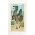 1972 Brooke Bond Tea card Prehistoric Animals C...