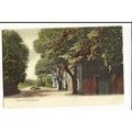 Yorkshire HORNSEA Seaton Road Postcard by Morrison