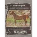 bo-gin arabians 1972 talari talal asil phairy c...
