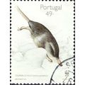 PORTUGAL, MAMMAL, Pyrenean Desman ,Galemys pyre...
