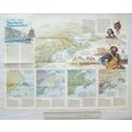 1985 National Geographic map The making of Amer...