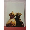 Theory of Evolution, TEACHER TRAINING AGENCY advertising request postcard #