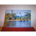 ABU CAMP, BOTSWANA, AFRICA unused postcard =