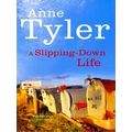Slipping Down Life