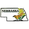 Nebraska State Outline with Western Meadowlark ...