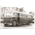 Black & White Photograph of Southern National O...