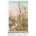 vintage postcard - Lake Scene