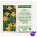 Brooke Bond Tea card Woodland Wildlife series n...