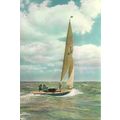 Yacht BLUEBOTTLE Postcard (J. Arthur Dixon SS.113)
