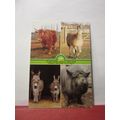 WOOD GREEN ANIMAL SHELTERS, WOOD GREEN, London ...