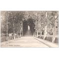 78 - MANTES - iles aux dames
