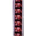 Pk DAU - J - MIX - a 011K. 1 STRIP OF 5 - 35MM ...
