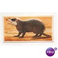 1985 (Sheen) Brooke Bond Tea card INCREDIBLE CR...