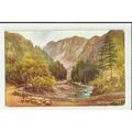 A153 Wales ABERGLASSLYN Pass Valentine "Art Col...
