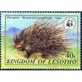 Lesotho QEII 1982 Wildlife WWF 40s Porcupine Mo...