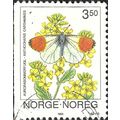 NORWAY, BUTTERFLY, Orange Tip, Anthocharis card...