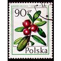 Poland 1977 Fruit 90Gr Used Stamp
