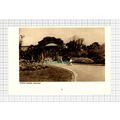 C5574) Morrab Gardens Penzance Cornwall - Small...