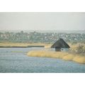 RSPB Radipole Lake Reserve Bedfordshire Postcard